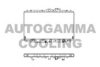 AUTOGAMMA 101440 Radiator, engine cooling